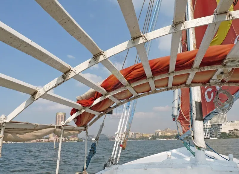 ファルーカの外側